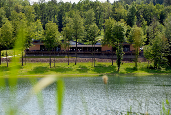 Hennesee-H1.png